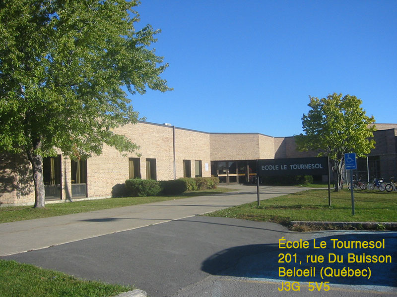 beloeil-tournesol.jpg