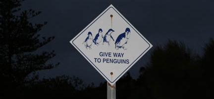 give-way-to-penguins.jpg