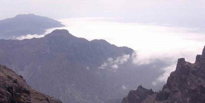Canaries_Vue Canaries_Vue