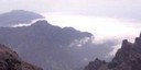 Canaries_Vue
