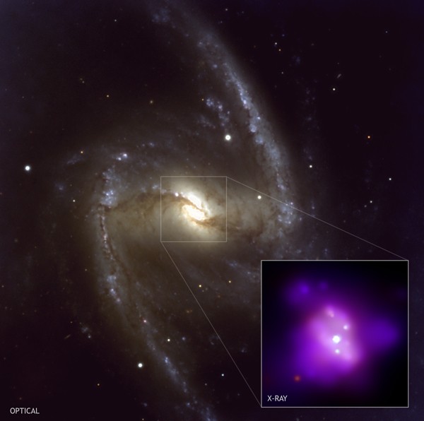 NGC 1365 vu par Chandra