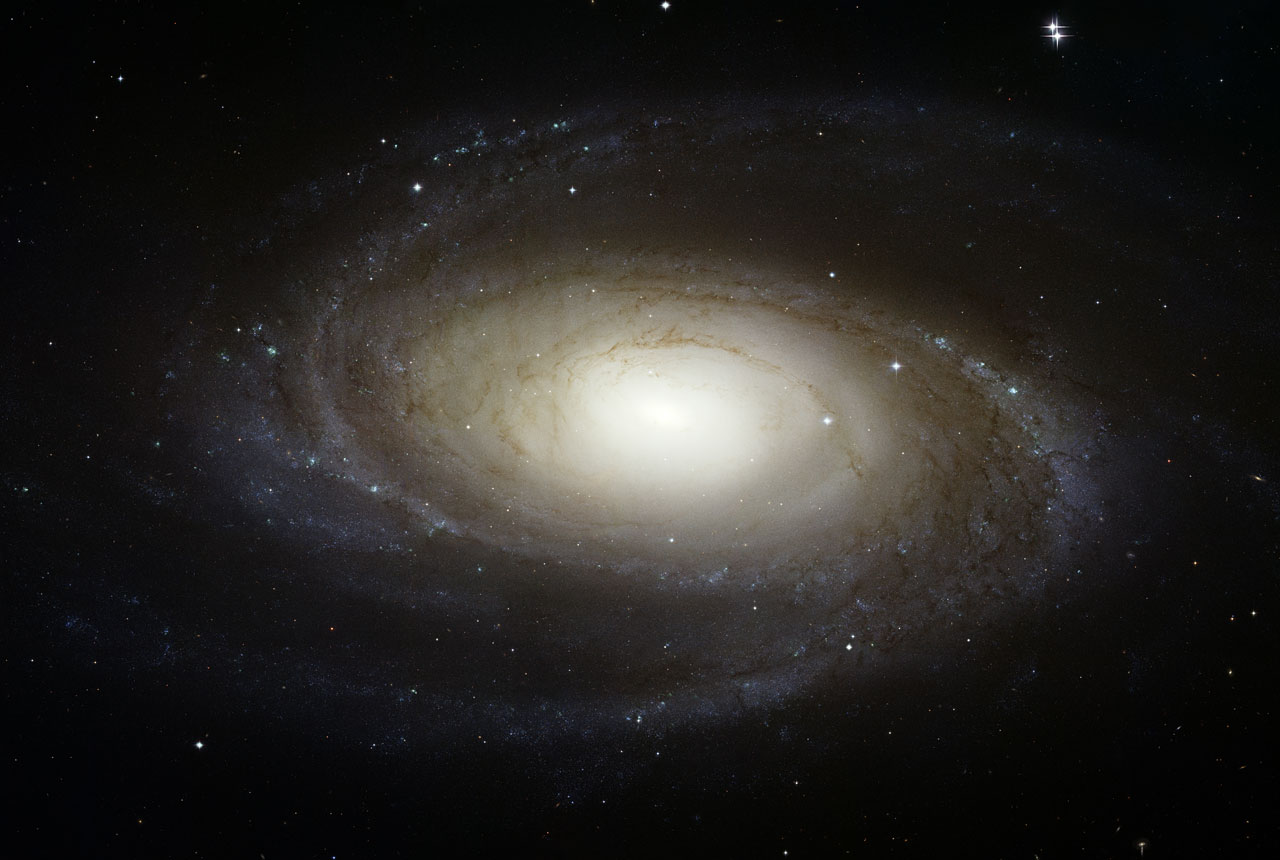 M81 Seen by Hubble