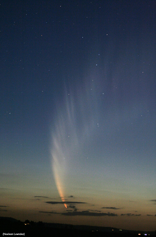 Comet McNaught par Noeleen Lowndes