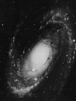 M81