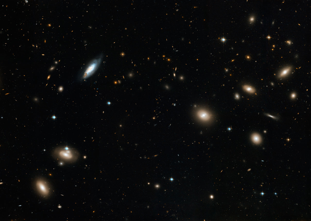 L'amas de galaxies de la Chevelure de Bérénice vu par Hubble